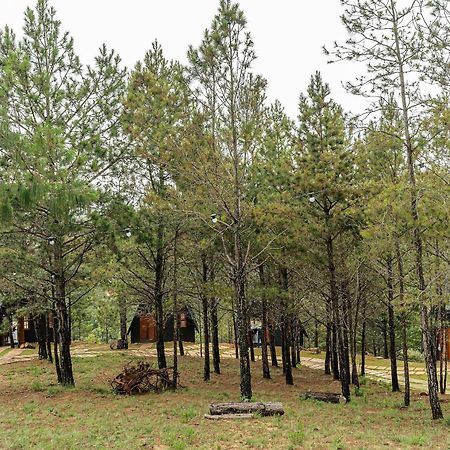 Chales Naturale - Campos Do Jordao - Cna מראה חיצוני תמונה